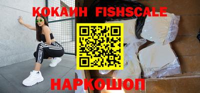 индика Гагарин