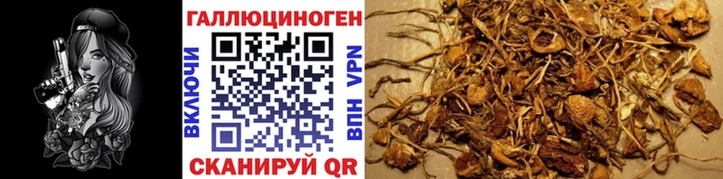 цены наркотик  Комсомольск-на-Амуре  hydra ссылки  darknet формула  Галлюциногенные грибы мицелий 
