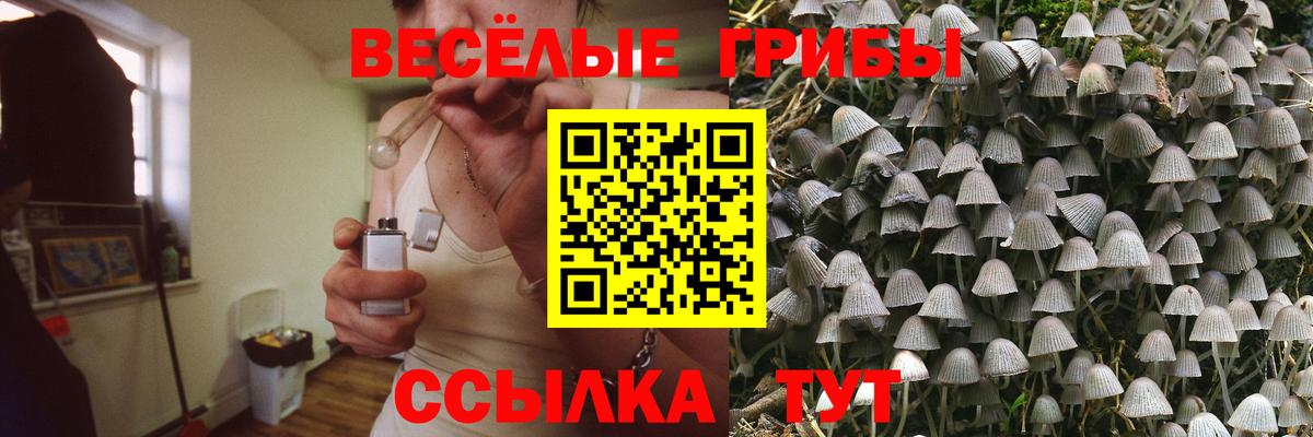 Псилоцибиновые грибы мицелий Комсомольск-на-Амуре